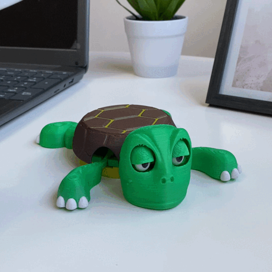 Turtle Glass - Porta Vaso de Tortuga 🐢