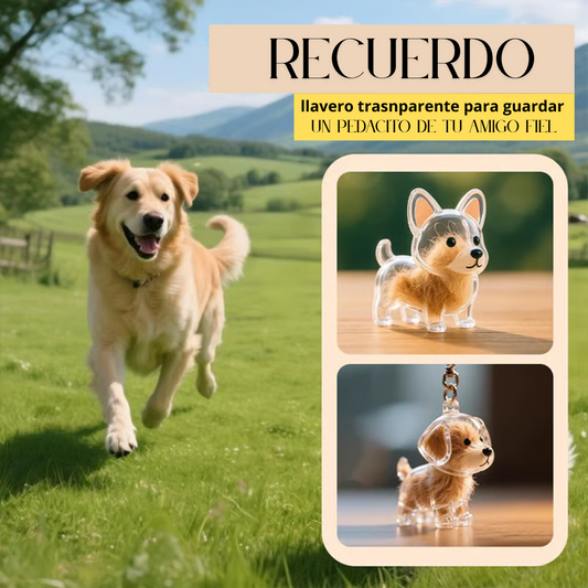 Llavero Pelaje del Alma | Mini Recuerdo Peludo